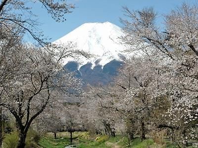 Pension Sumomo No Ki Oshino Εξωτερικό φωτογραφία